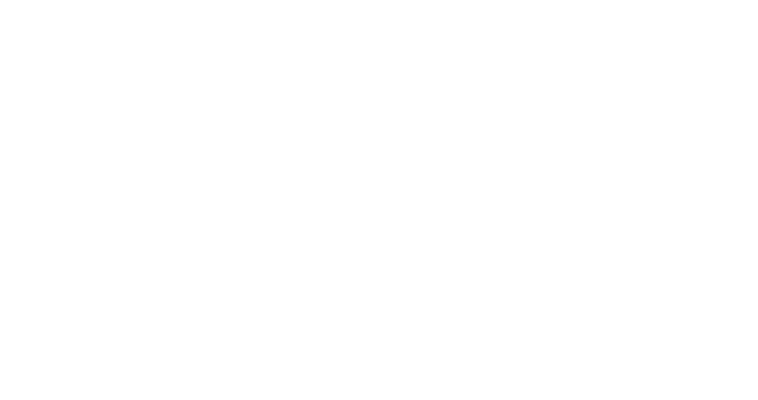 CONSTRULEVE